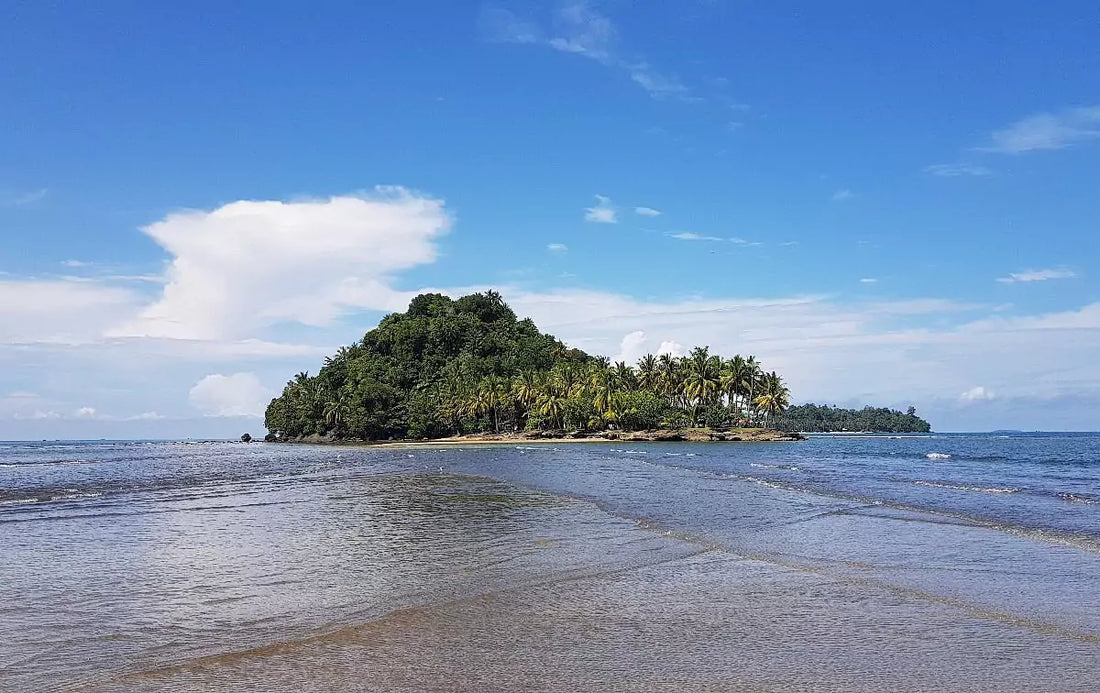 image source: https://dynamic-media-cdn.tripadvisor.com/media/photo-o/16/89/9c/27/air-manis-beach.jpg?w=1200&h=1200&s=1