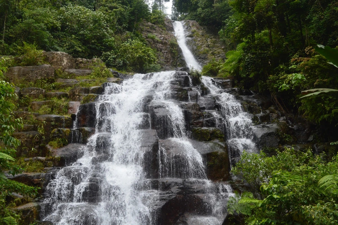 Panduan Wisata Seru di Air Terjun Sarasah Tahun 2024