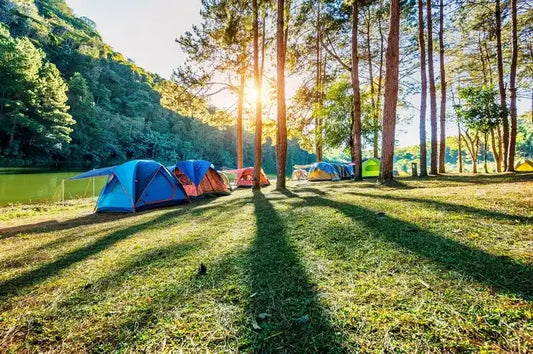 pemandangan camping di tengah hutan di pagi hari