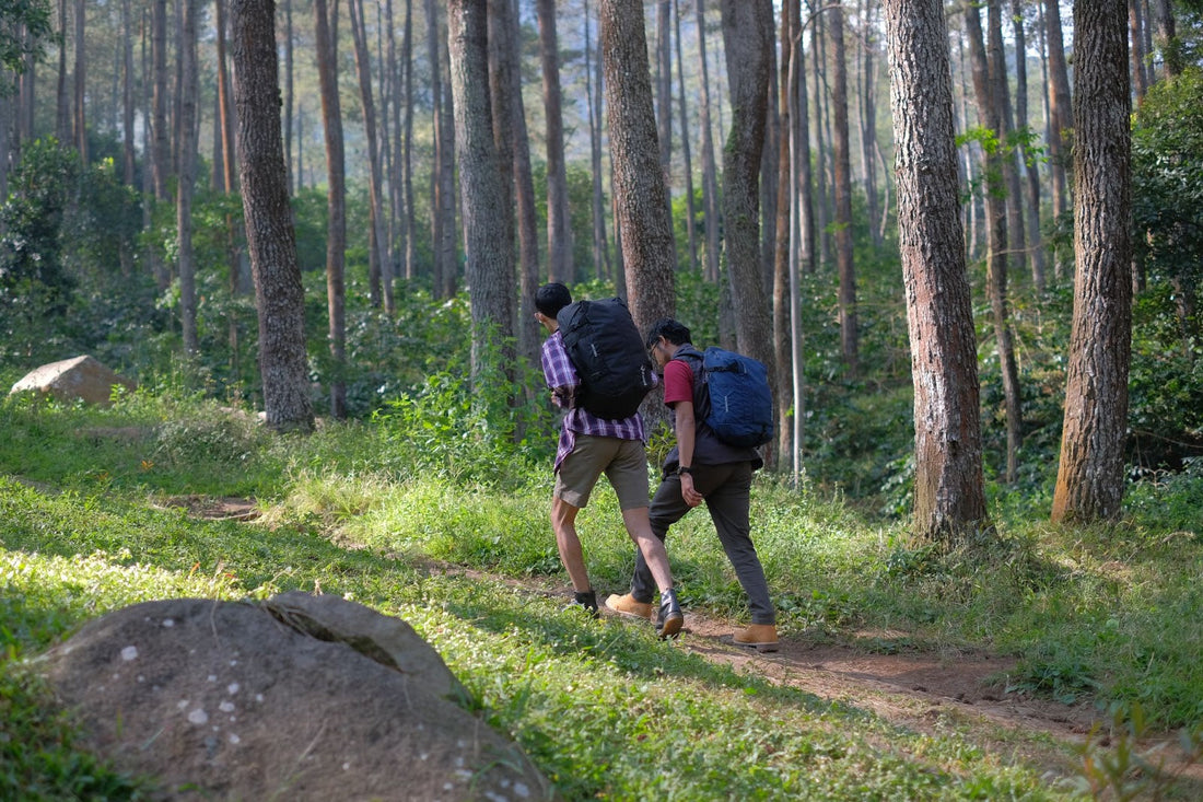 Mengenal 5 Perbedaan Hiking dan Trekking